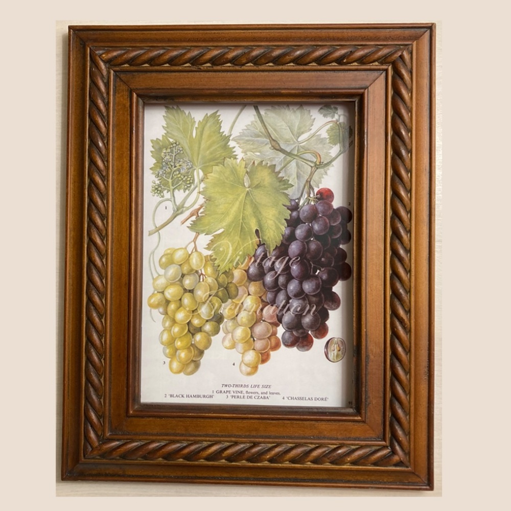 Frame with choice of 5x7 print
